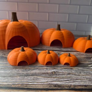 May include: A collection of six orange pumpkin-shaped hides of varying sizes, each featuring a brown stem and a hollow arched opening at the base. The pumpkins are arranged in two rows, with three larger ones in the back and three smaller ones in front.