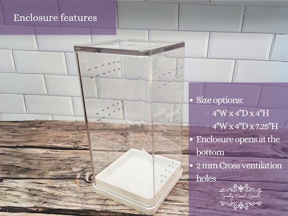 Custom Jumping Spider Bottom Opening Enclosure Made to Order Jumping Spider Vivarium Arboreal Enclosure Etsy UK