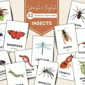 32 Insects Flash Cards Montessori Flash Cards Pre-School Cards Spanish Flashcards Educational Printable Cards Montessori Materials