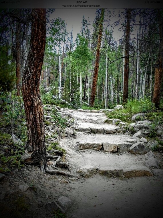 Photographic Stationary Notecard, "The Path", Original Photography