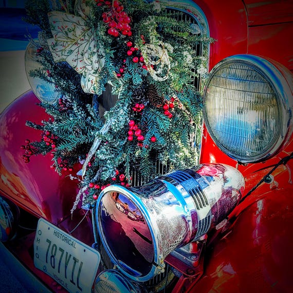 Holiday Honk Photographic Stationary Card