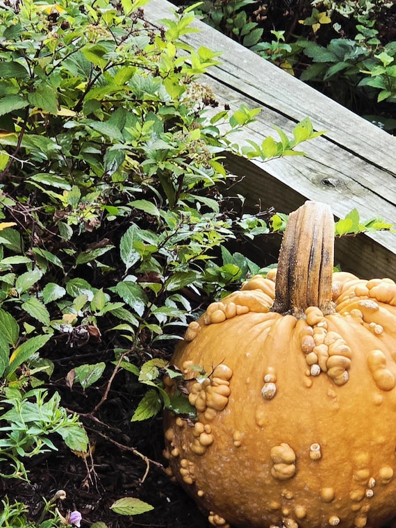 My Autumn Photographic Stationery Card