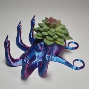 May include: A blue and purple octopus planter with a succulent plant growing out of the top. The octopus has all of its tentacles raised in a middle finger gesture.
