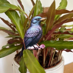 Puede incluir: Ilustración colorida de un estornino posado en una rama, sobre un fondo de hojas verdes y burdeos. El ave presenta plumas iridiscentes azules, moradas y negras. La obra de arte está colocada en una maceta de cerámica blanca.