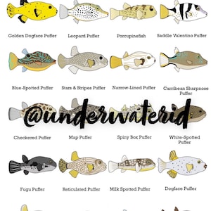 Arte de pared para identificación de peces: peces globo de agua salada (¡Compre uno y obtenga cualquier otro impreso gratis!) Decoración para pecera, ideal para identificar peces mascota.
