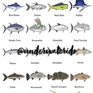 Fish ID Wall Art - Saltwater Game Fish (Buy one get any other print free!) Popular fishing species to catch around the world