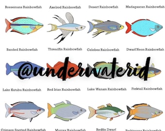 Fish ID Posters South American Cichlids buy One Get 2 Free Fishtank ...