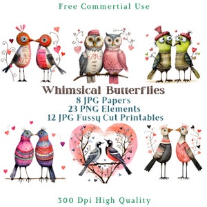 Clipart lunatique d'oiseaux amoureux, techniques mixtes oiseaux originaux CU Clip, graphiques de Couples d'oiseaux PNG, éléments fantaisistes, imprimables coupe difficile