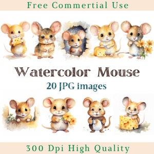 Clipart de souris aquarelle, souris Clip Art, petite souris Jpg, Images animales, images de fond blanc Bundle, 300 DPI, photos de petit rongeur