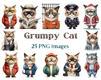 Imágenes Prediseñadas de gato gruñón, imágenes prediseñadas de gato enojado, PNG de mascota gruñón, imágenes de animales, imágenes de fondo transparente, 300 DPI, imagen divertida de gato gruñón