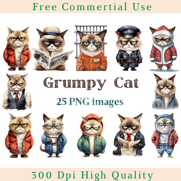 Grumpy Cat Clipart, Angry Cat Clip Art, Grumpy Pet PNG, Animal Images, Transparent Backgound pictures, 300 DPI, Funny Grumpy Cat Picture