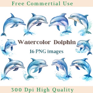 Clipart aquarelle dauphins, clipart dauphin mignon, dauphin Jpg, Images d'animaux, lot de photos de fond blanc, 300 ppp, photo de la vie marine