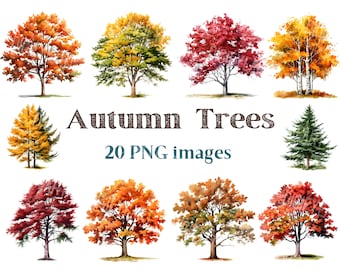 Autumn Trees Clipart, Fall Tree Clip Art Png, Forest Image, Commercial Use, Bundle Transparent Background picture, 300 DPI, Forest Trees Png