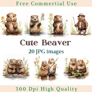 Watercolor Beaver Clipart, Cute Beaver Clip Art, Animal Jpg, Beavers Image, Bundle White Background pictures, 300 DPI, Cute Beaver Pictures