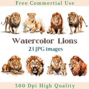 Aquarelle Lions Clipart, Lion Clip Art, Big Cat Jpg, Images animales, Bundle White Backgound images, 300 DPI, King of the Beasts Pictures
