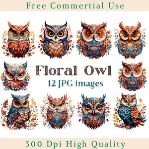 May include: Twelve digital illustrations of colourful owls with floral patterns. The owls are in various poses and have different colours and patterns. The text "Floral Owl" and "12 JPG images" is at the bottom of the image.