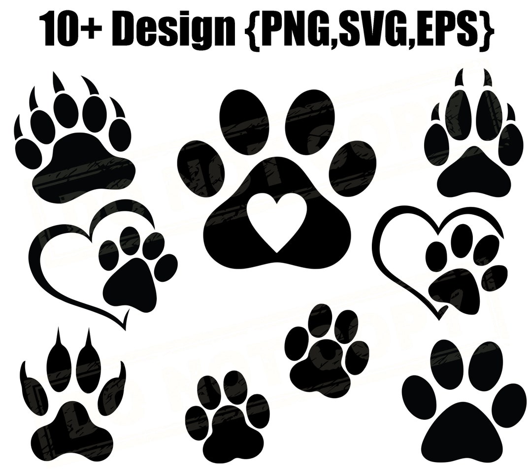 Image result for Handmade hamster enclosures with levels and sensory stimulation - Handmade Hamster Enclosures With Levels And Sensory Stimulation