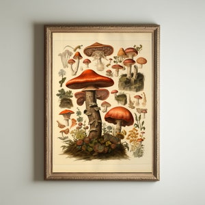 Mushroom Print, Dark Cottagecore Art, Goblincore Decor, Fairycore Oil Painting, Moody Antique Poster, Victorian Botanical Aesthetic