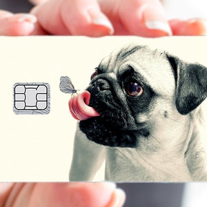 Pug - sticker pour carte bancaire, format US