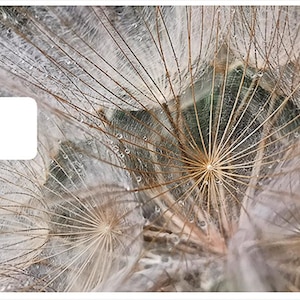 Fleur de pissenlit - sticker pour carte bancaire, 2 formats de carte bancaire disponibles