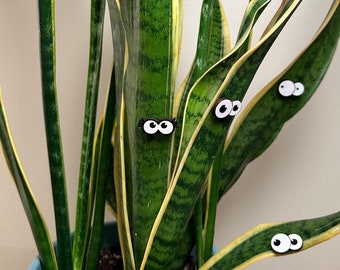 Cartoon Plant Eyes - Funny Basswood Plant Decor, Set of 6