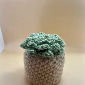 Handmade Mini Crochet Faux Potted Succulent Plant Home Decor Boho