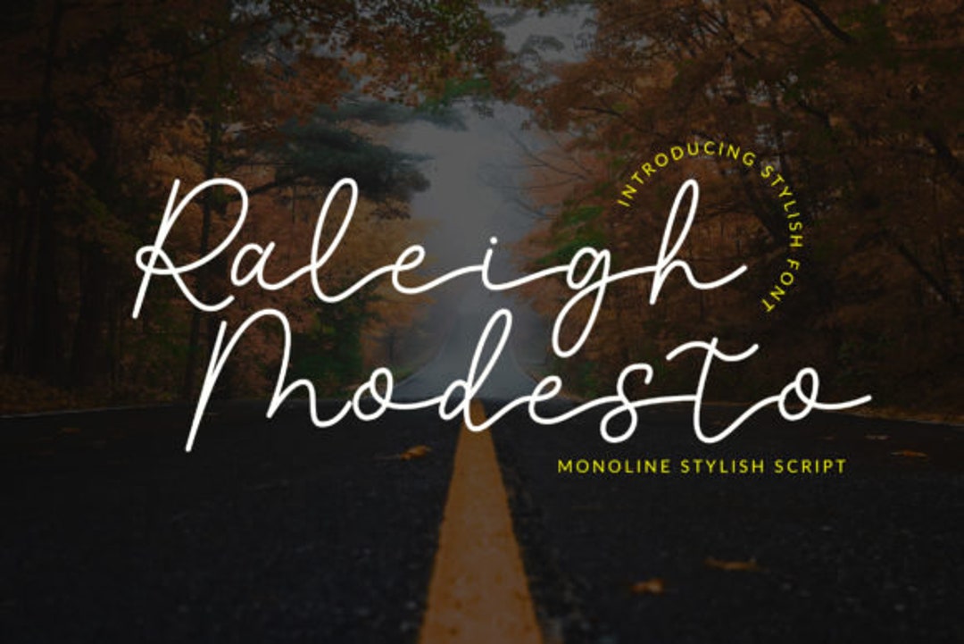 Raleigh Modesto Font Signature Font Calligraphy Fonts Etsy