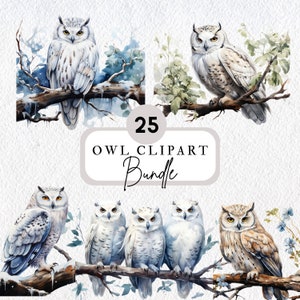 25 Owl Clipart Bundle, Cute Owl Clipart PNG, Snow Owl Clipart, Owl Lover's Bundle  Premium Clipart Collection for Digital Art & Printables