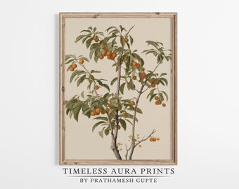 Vintage Orange Tree Print | Spanish Kitchen Decor | European Wall Art | PRINTABLE Digital Download |