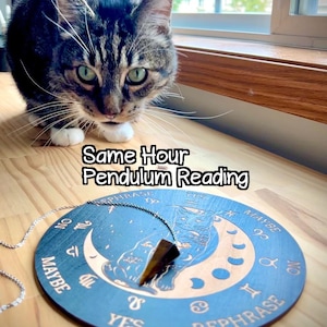 May include: A brown and black tabby cat sits behind a round wooden pendulum board featuring zodiac signs, moon phases, and the text "Same Hour Pendulum Reading". A faceted brown crystal pendulum hangs from a silver chain over the board.