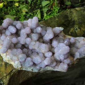 Large Spirit Quartz, Cactus Quartz cluster, 5.4Kg. Amethyst cluster.