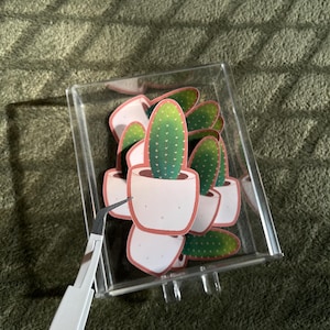 Colección Cactus - Pegatina Cactus 1