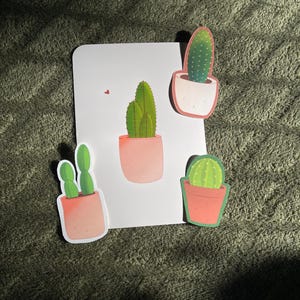Paquete valioso de la colección Cactus