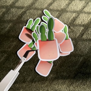Colección Cactus - Pegatina Cactus 2