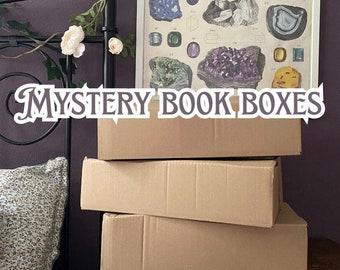 Mystery book box! Mixed genre English books including new and used books (box 1)