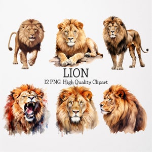 Aquarel Leeuw Clipart Bundel, 12 Transparante Achtergrond Hoge Kwaliteit PNGs, Aquarel Safari Dieren Clipart PNGs