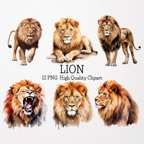 Watercolor Lion Clipart Bundle,12 Transparent Background High Quality PNGs,Watercolor Safari Animals Clipart PNGs