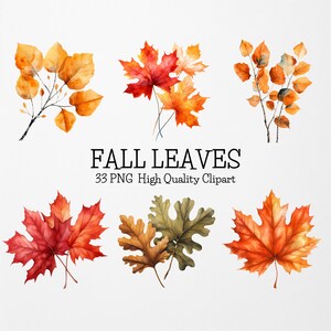 Watercolor Fall Leaves Png Clipart,33 High Quality PNG,Fall Leaf Printable Illustration,Leaf PNG Clipart Bundle