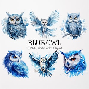 Aquarell blaue Eule Clipart, 10 hochwertige PNGs, Pastell Tier Clipart, Papier Handwerk, Junk Journal, Scrapbook, Planer