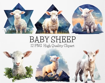 Baby Sheep Clipart Bundle,12 High Quality PNG,Baby Farm Animals,Nursery Sheep Clipart PNG,Nursery Wall Art