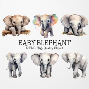 Pacote de clipart PNG de elefante bebê, 12 PNGs de fundo transparente de alta qualidade, chá de bebê de elefante, berçário de elefante, animal Safari PNG