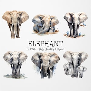 Pacote de clipart PNG de elefante aquarela, 12 PNG de alta qualidade, clipart PNG de animais safari, clipart de animais selvagens, berçário de elefantes