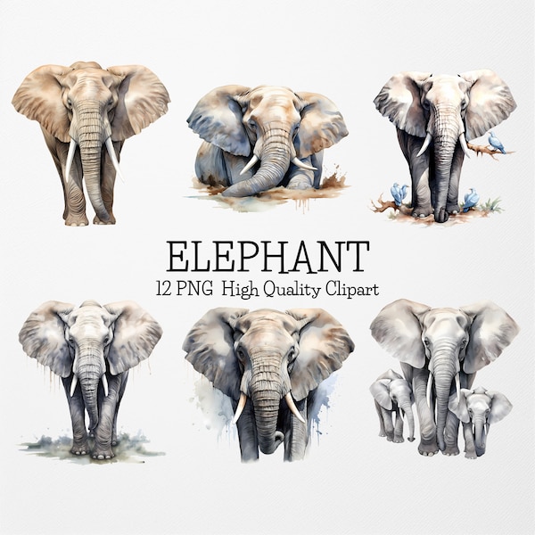 Watercolor Elephant PNG Clipart Bundle,12 High Quality PNG,Safari Animals PNG Clipart,Wild Animal Clipart,Elephant Nursery