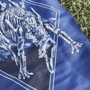 Stegosaurus Stenops Tapestry Wall Hanging