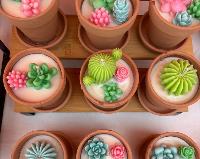 Succulent Candle | Handmade Candle | Soy and Beewax Wax Candle Gift | Home Decor Candle | Holiday Candle Gift