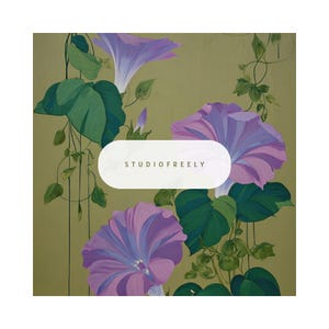 May include: An artistic illustration featuring vibrant purple morning glory flowers and lush green leaves against a muted olive-green background. The image includes the text "STUDIOFREELY" in a white oval.