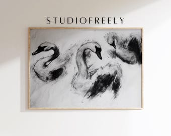 May include: A framed monochrome artwork featuring three swans, rendered in a charcoal sketch style. The swans are depicted with their necks curved and wings spread, set against a white background. The artwork is framed in a light wood frame. The text "STUDIOFREELY" is at the top.