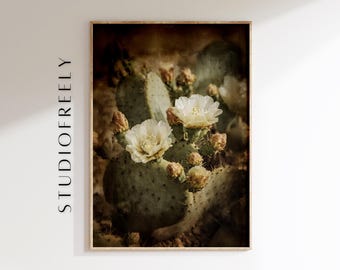 Impresión vintage de cactus en flor: Arte mural de un desierto melancólico (archivo digital)