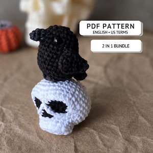 Pacchetto 2 in 1 di modelli all'uncinetto per teschio e corvo, modelli amigurumi di Halloween in PDF, portachiavi a forma di teschio, mini corvo, decorazioni gotiche spettrali