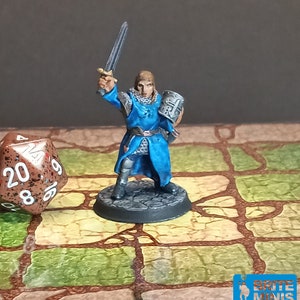 Hand Painted Fighter, paladin, knight, warrior miniature for Dungeons and Dragons and other table top role playing games. 28mm